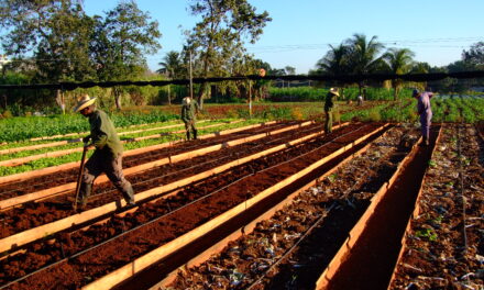 The Current Crisis in Cuba – Sinan Koont –  Sunday, April 26, 10:30 AM Pacific Time