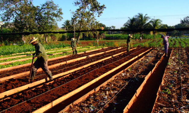 The Current Crisis in Cuba – Sinan Koont –  Sunday, April 26, 10:30 AM Pacific Time